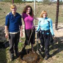 Volunteers in action carrying out maintenance tasks on site