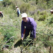 Volunteers in action carrying out maintenance tasks on site