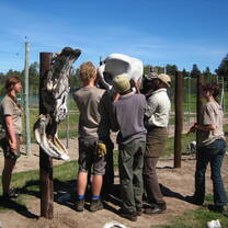 Volunteers in action carrying out maintenance tasks on site