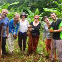 Volunteers in action on forest maintenance and upkeep tasks