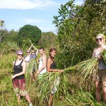 Volunteers working on forest tasks and maintenance