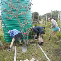 Volunteers in action carrying out maintenance tasks on site