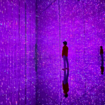 TeamLab Planets Exhibit