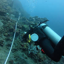 50 meter survey