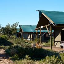 Safari tent used for volunteer accommodation 
