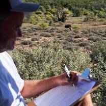 In the safari vehicle conducting wildlife conservation surveys
