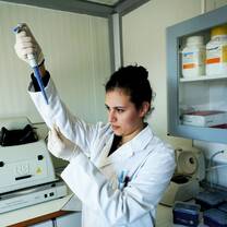 BioEngineering Internship