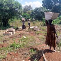 women empowered in bee keeping skills