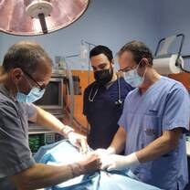 Pre-vet Internships in Greece