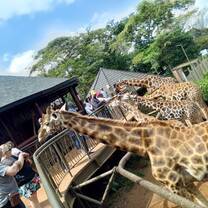 Giraffe Center Nairobi