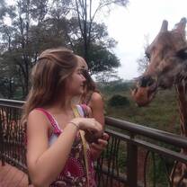 Giraffe Center Nairobi