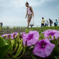 Eco-volunteers take part in field work and community projects - Ralph Pace