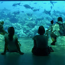 Eco Museum visit