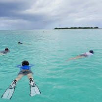 Snorkeling in lagoon
