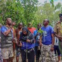 Mangrove restoration at Dongokundu