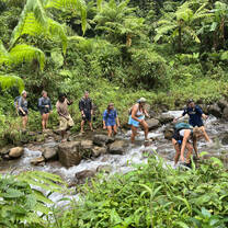 Students crossing the river on a hike in Dominica