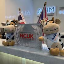 Two plush cow toys wearing AIHM College sashes sit on a reception desk next to a sign that reads, Working in partnership with NCUK University Pathways, with flags and logos in the background.