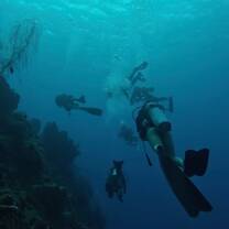 Students diving in Dominica