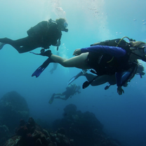 Wreck diving in Mauritius