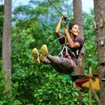 Zip Park adventure