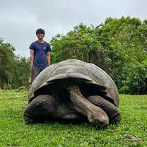 Experimenter poses with Giant Galapagos tortoise