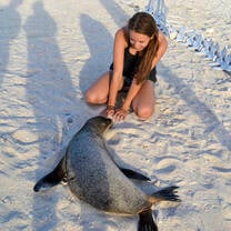 Student poses with sea lion in the Galapagos