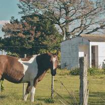 A Horse in the countryside
