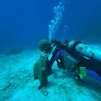 Student scuba diving the Cousteau Reserve in Pigeon Island, Guadeloupe