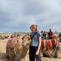 Student petting Camel in Morocco