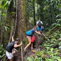 Students hiking to a waterfall in Dominica