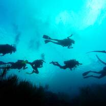 Students earning their PADI Open Water dive ceritifications