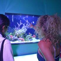 Students exploring the aquarium in Monte Carlo, Monaco