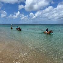Students riding horses on the shore of Nevis