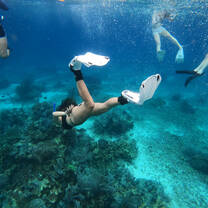 Student snorkeling in Labuan Bajo