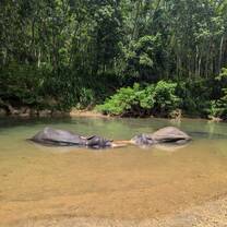Mali and Rani in the river