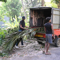 Collecting food in the truck