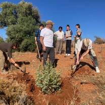 group working in fields 