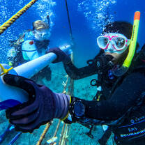 Two scuba divers work underwater, holding a long PVC pipe and cleaning equipment attached to a rope structure. Air bubbles rise around them as they conduct marine fieldwork in clear blue water.