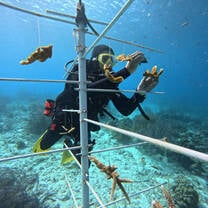 Students helping restore coral reefs in Bonaire