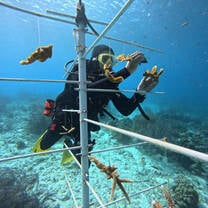 Students helping restore coral reefs in Bonaire