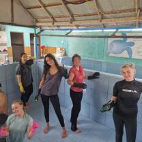 Sea Turtle Hatchery cleaning