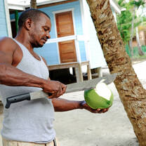 IZE Coconut