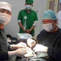 Medical placement in Peru