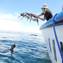 A person passing a coral structure to a diver in the water