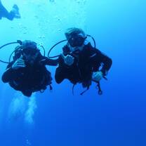 Diving