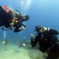 Diving