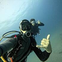 Diving