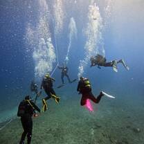 Diving