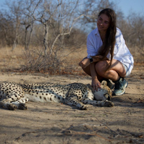 Cheetah Walk