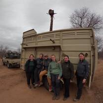 Giraffe Relocation